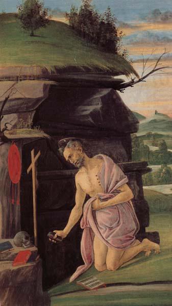 St.Jerome, Alessandro Botticelli